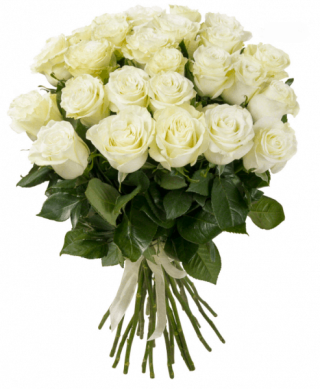 Букет Элитные Белые Розы 25