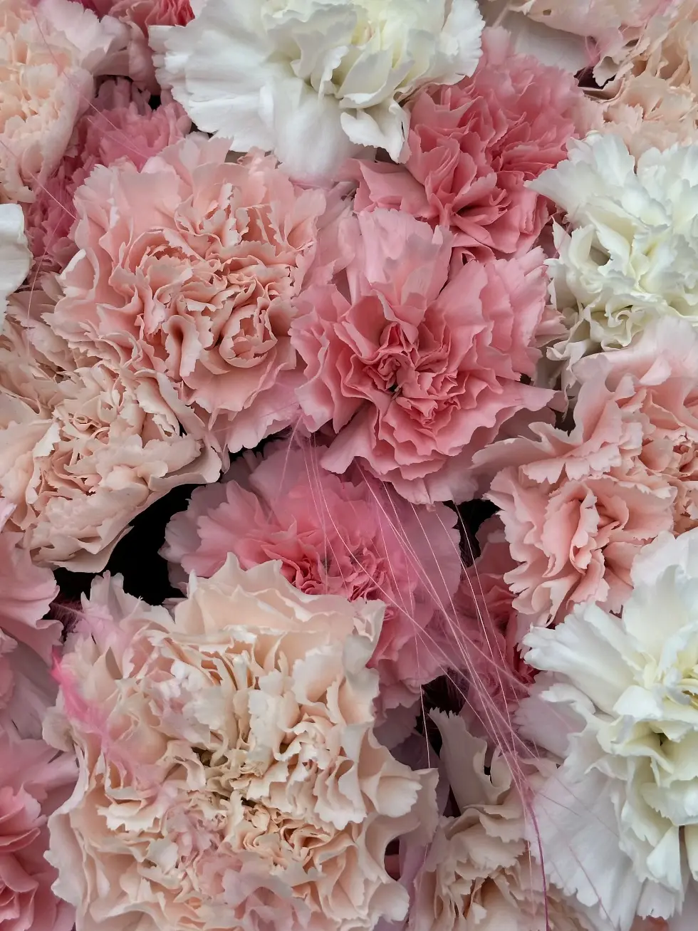 Букет Нежный зефир