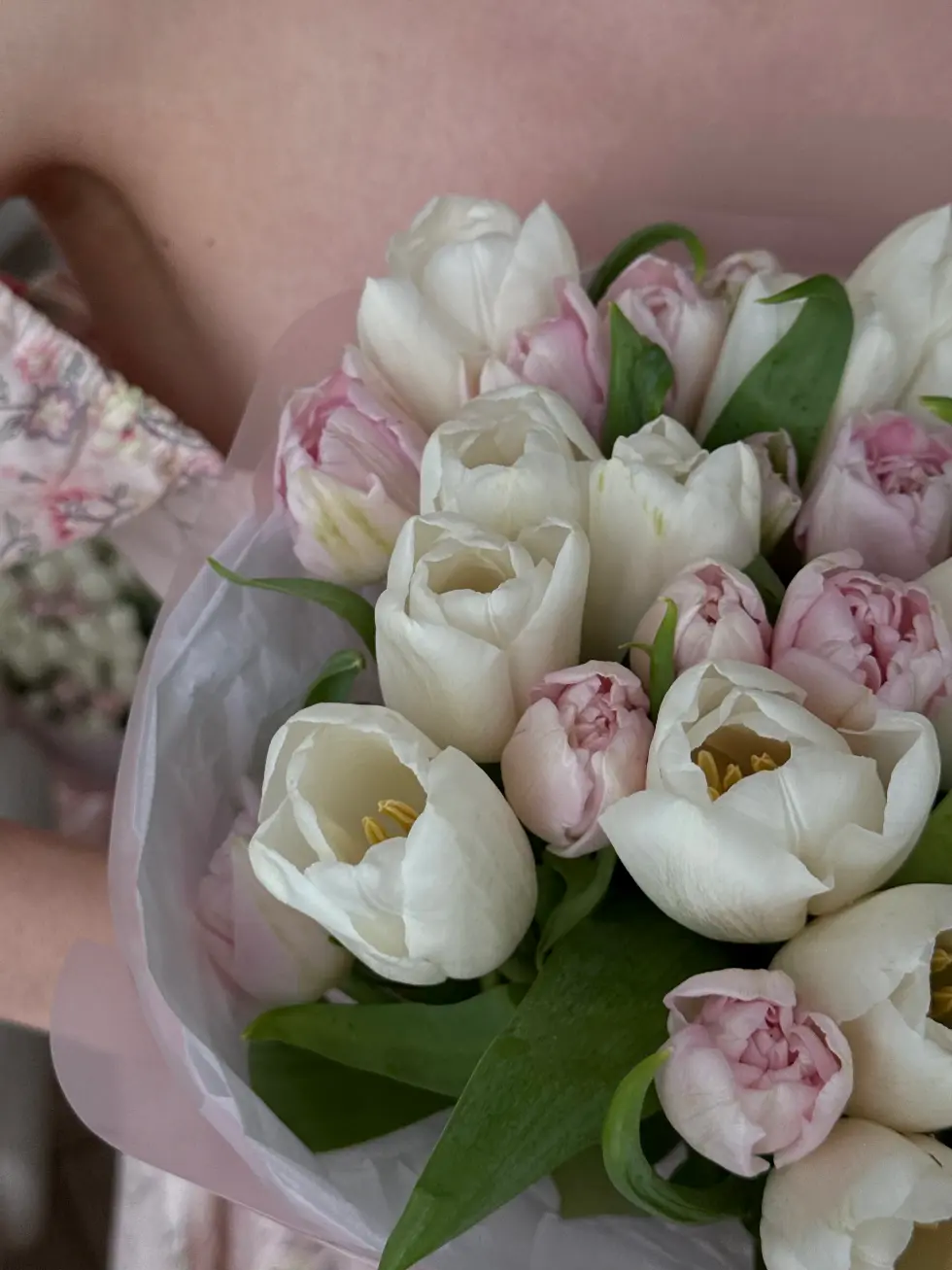 Букет Весенний поцелуй