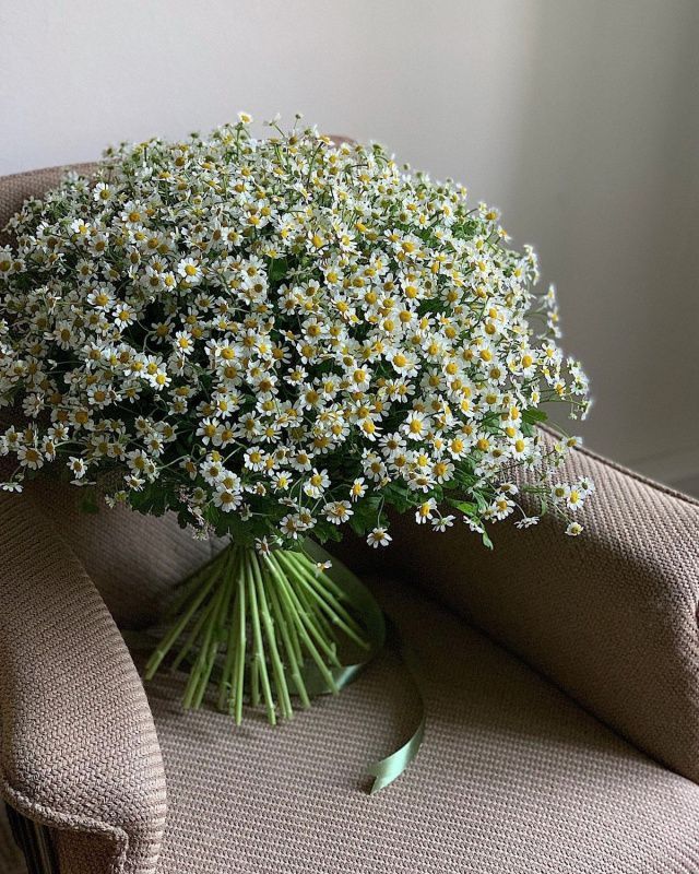 Всё про цветы