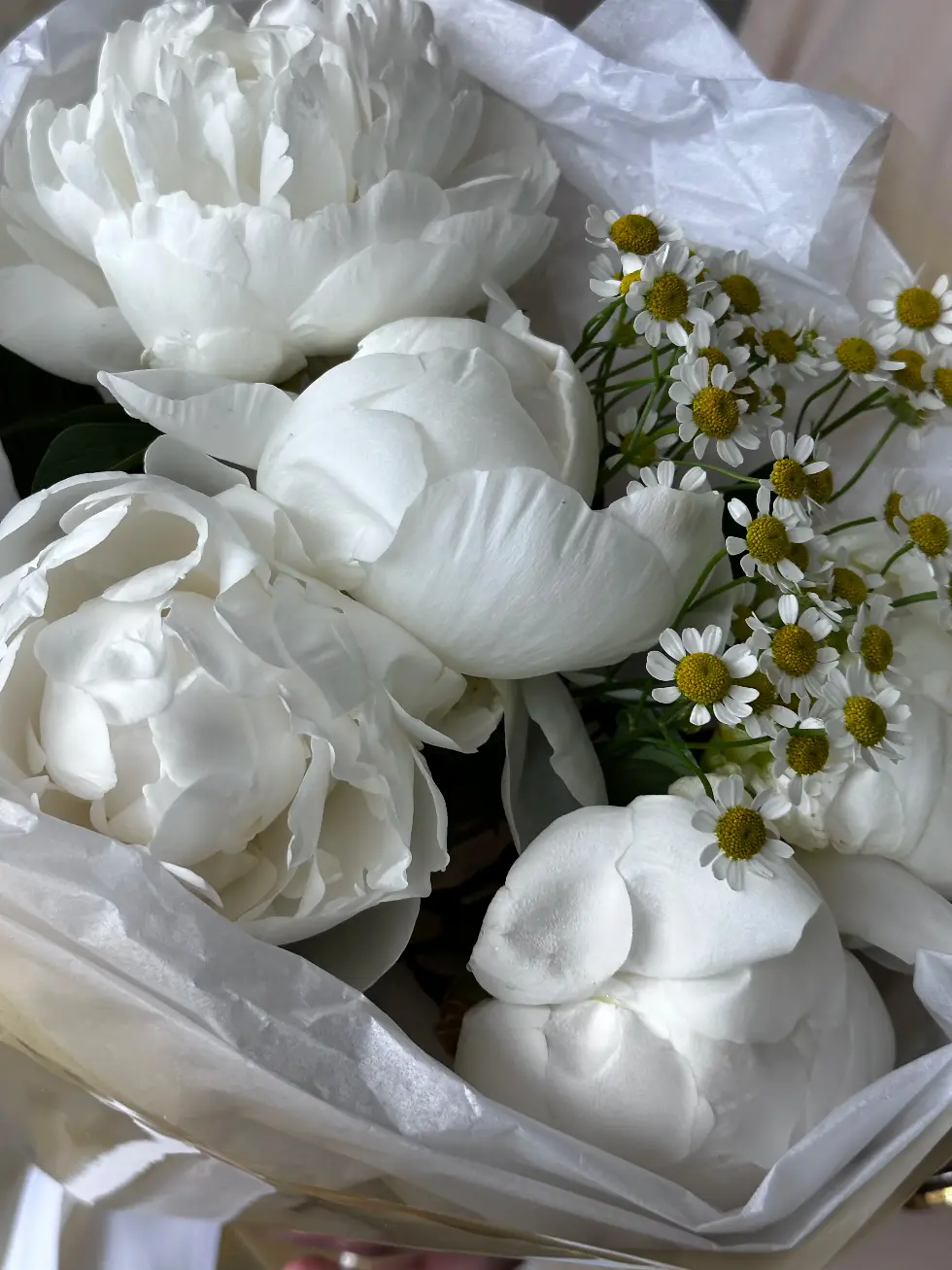 Букет Первые чувства