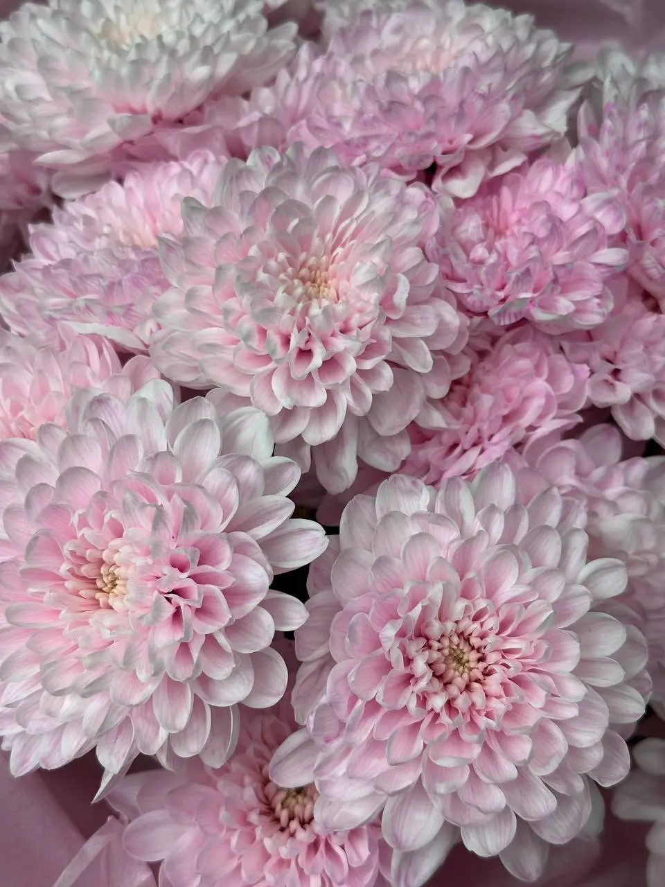 Букет Облако любви