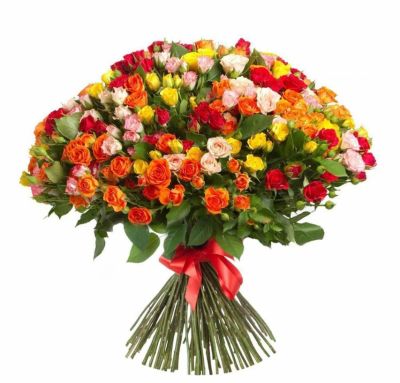 Роза кустовая Кения «Многоцветная» (30 см)