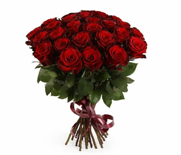 Роза Эквадор «Вишневая» (50 см, бордовая)