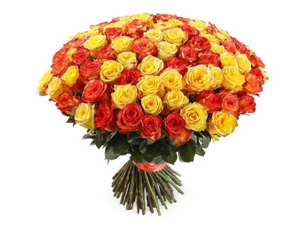 Роза Эквадор «Радужная» (50 см, разноцветная)