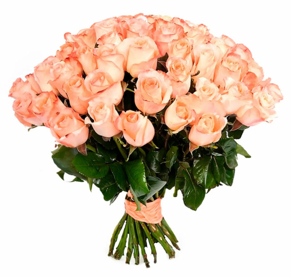 Роза Эквадор «Персиковая» (50 см)