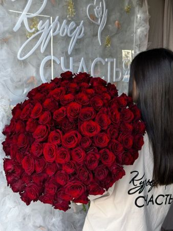 Элитные Красные Розы 101 шт.